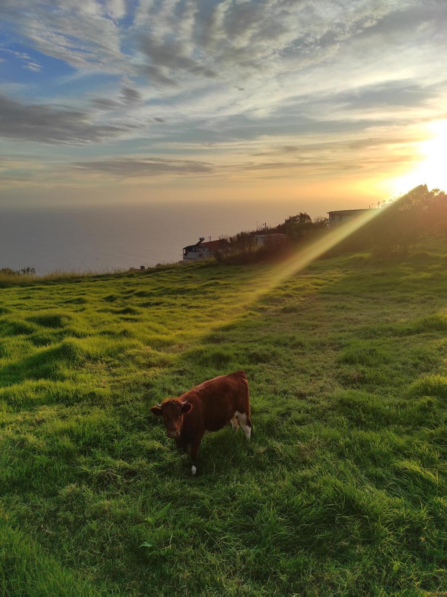 Appartamento Casa Camara Arco da Calheta  Esterno foto